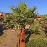 Royal Nas 3*